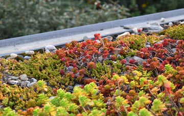 the cost of Buxley green roof installation